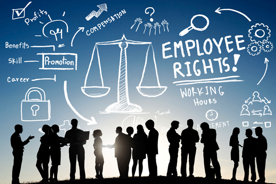 What Types of Cases Does an Employment Lawyer Handle?